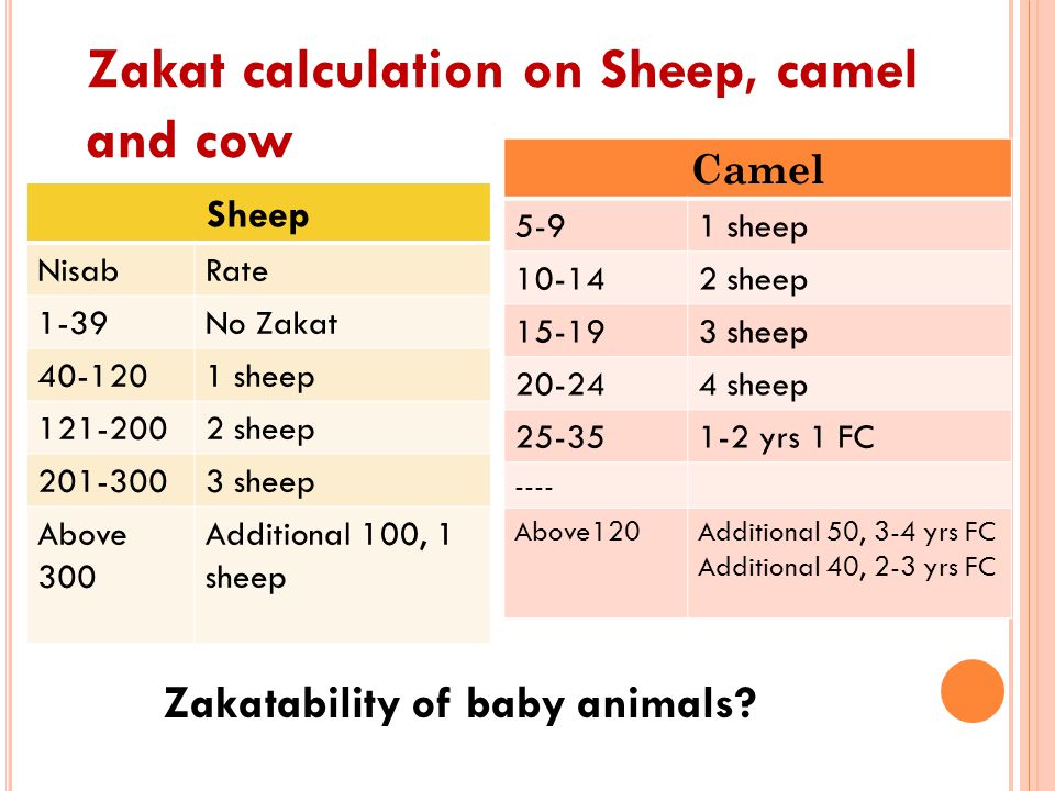 What Is The Nisab Zakah Of Animals Learn Islam