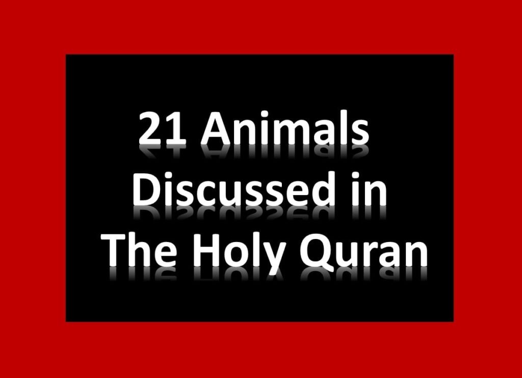 which-animals-are-mentioned-in-the-holy-quran-quran-mualim