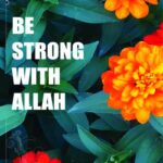 quotes from the quran,inspirational quran quotes, quran quotes about women, quran quotes on death, beautiful quran quotes, quran quotes on peace, best quran quotes, best islamic quotes from quran, quotes from quran, quran quotes about life, quran quotes in english, allah quotes quran, quotes of quran, quotation from quran, quote from quran, best quran quote, best quranic verses, koran quotes