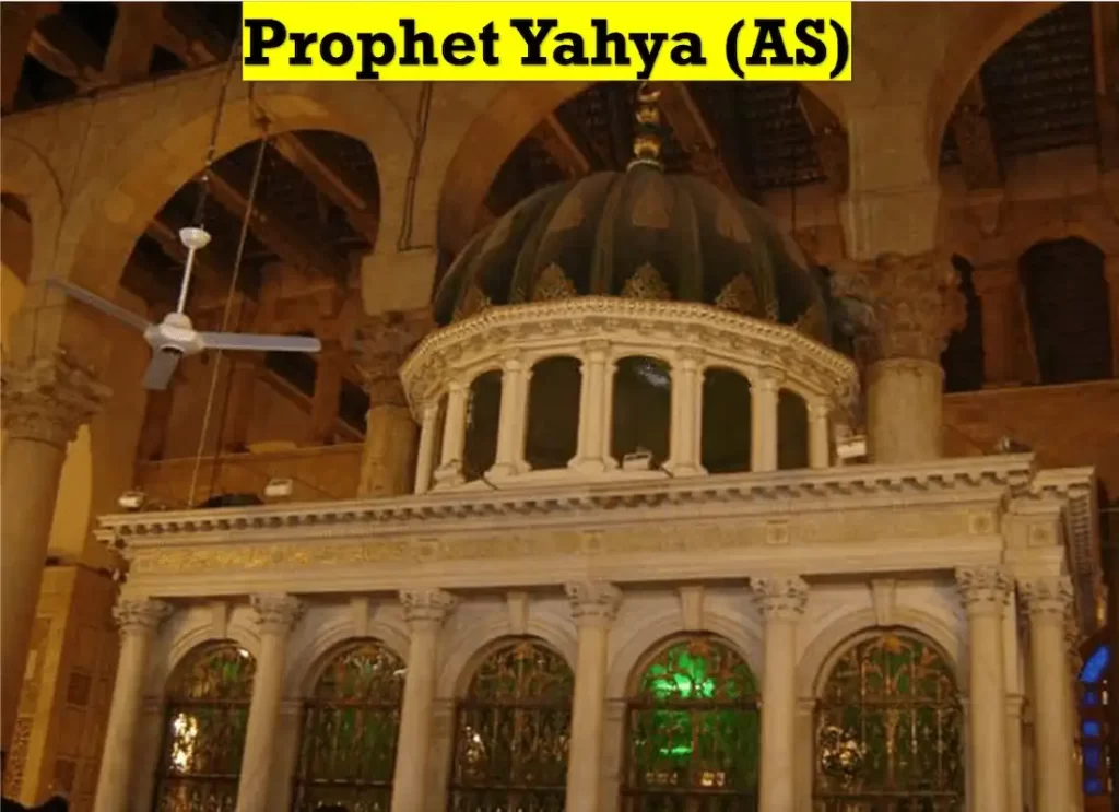 prophet yahya,story of prophet yahya,yahya prophet,prophet yahya story,yahya prophet,story of prophet yahya,yahya in bible, yahya john,john in islam wiki,zechariah in islam ,story of prophet yahya,maryam calligraphy