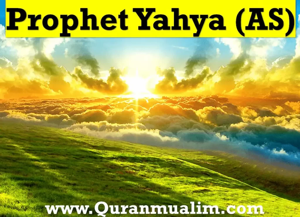 prophet yahya,story of prophet yahya,yahya prophet,prophet yahya story,yahya prophet,story of prophet yahya,yahya in bible, yahya john,john in islam wiki,zechariah in islam ,story of prophet yahya,maryam calligraphy