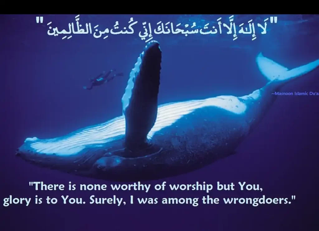 story of yunus,yunus alaihis salam,how long was yunus in the whale,jonah in quran,whale in quran,dua yunus meaning  ,yunus dua in quran,yunus in english,yunus jonah ,dua of yunus,dua yunus ,dua yunus in arabic ,yunnus,anbiya ki duaen , dua e yunus ,john in islam wiki ,jonah in arabic ,masjid younis 