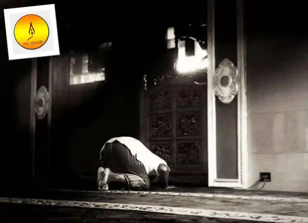 how many sujud in quran , sujud in quran, how many sujud tilawah in quran, what to say during sujud in quran, places for sujud in quran, how many sujud in quran, how many sujud tilawah in quran, prostrate prostration, prostrate meaning, prostrate cancer, prostrating