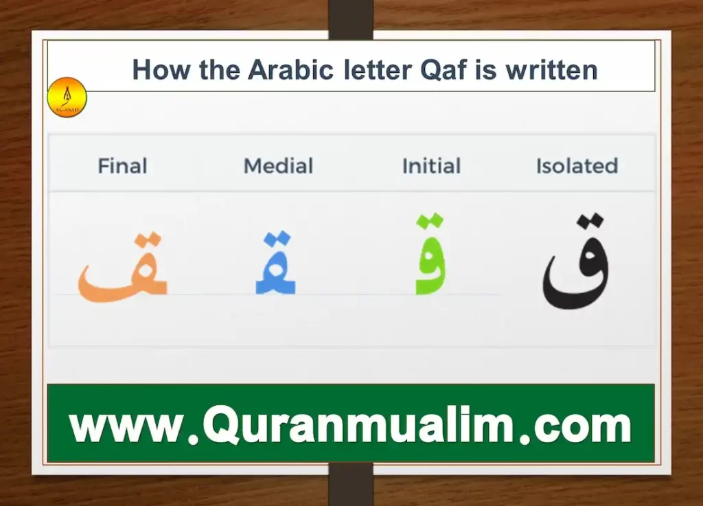 qaf, qafs, surah qaf, djebel qaf, qaf fanfiction, what is qaf, how to pronounce qaf in arabic	 is qaf a word, what is surah qaf about, what juz is surah qaf in, qaf meaning, as folk, gay as folk	 qaf definition, queer as fold