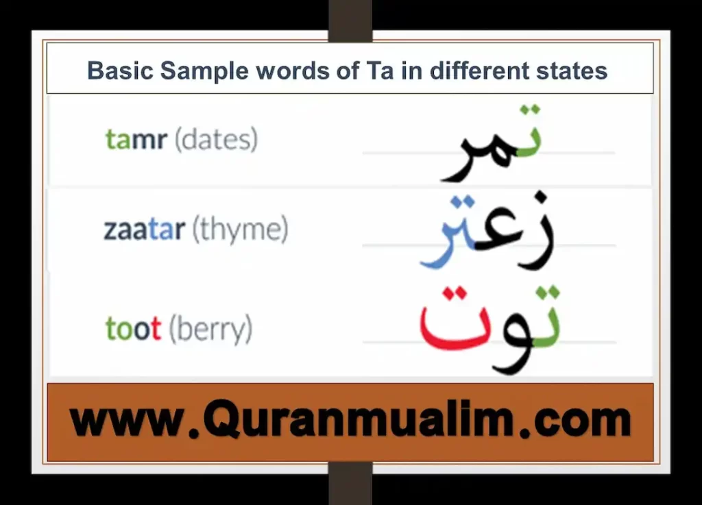 what is a ta, what does ta mean, what is ta, what does ta stand for, how ta, ta meaning, what does ta stand for, is ta, ta definition, what is a ta, ta.a, ta abbreviation, definition ta