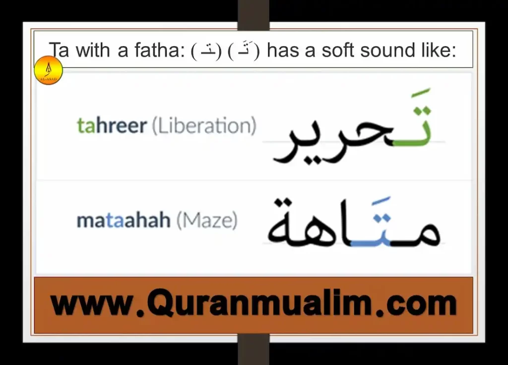 Ta Arabic Alphabets In English QuranMualim Quran Mualim