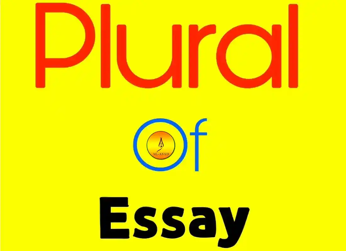 the plural form of essay is
