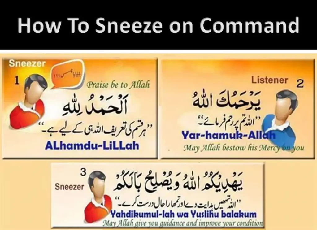 whats a sneeze,sneezes, sneezibg, cat sinus infection sneezing non stop ,does your heart stop when you sneeze , why is my cat sneezing, diseases spread by coughing and sneezing,is sneezing a covid symptom ,reverse sneeze dog 