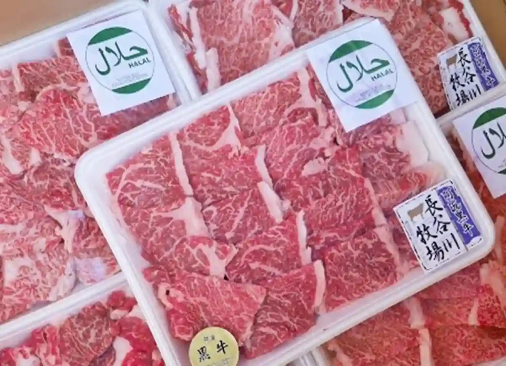 fair price market halal meat & grocery, fairprice halal meat & groceries, fair price halal meat, fairprice halal meat, fair price market, fair price market near me,1470 north shore road revere ma ,fair price market revere ma, fairprice sterling