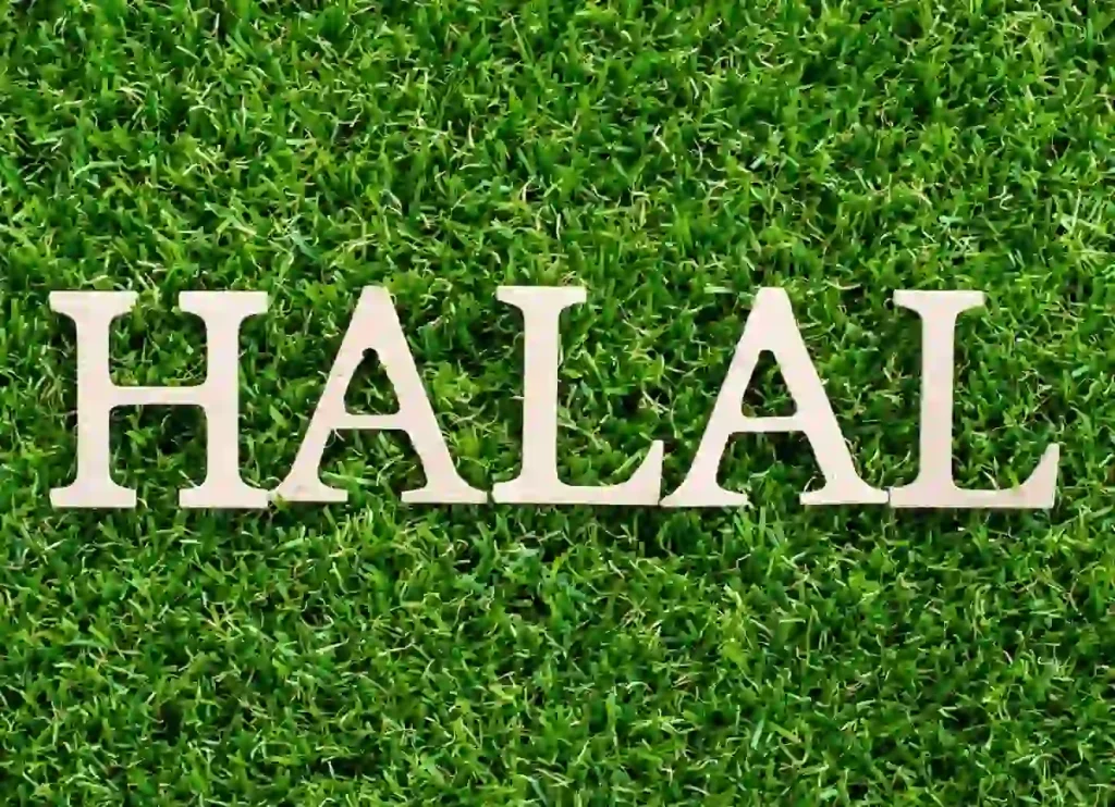 difference between halal and kosher, kosher and halal, difference between kosher and halal,is kosher and halal the same, what is the difference between halal and kosher, halal/kosher, halal vs kosher meat, hallal vs kosher, are kosher and halal the same, difference between halal and kosher