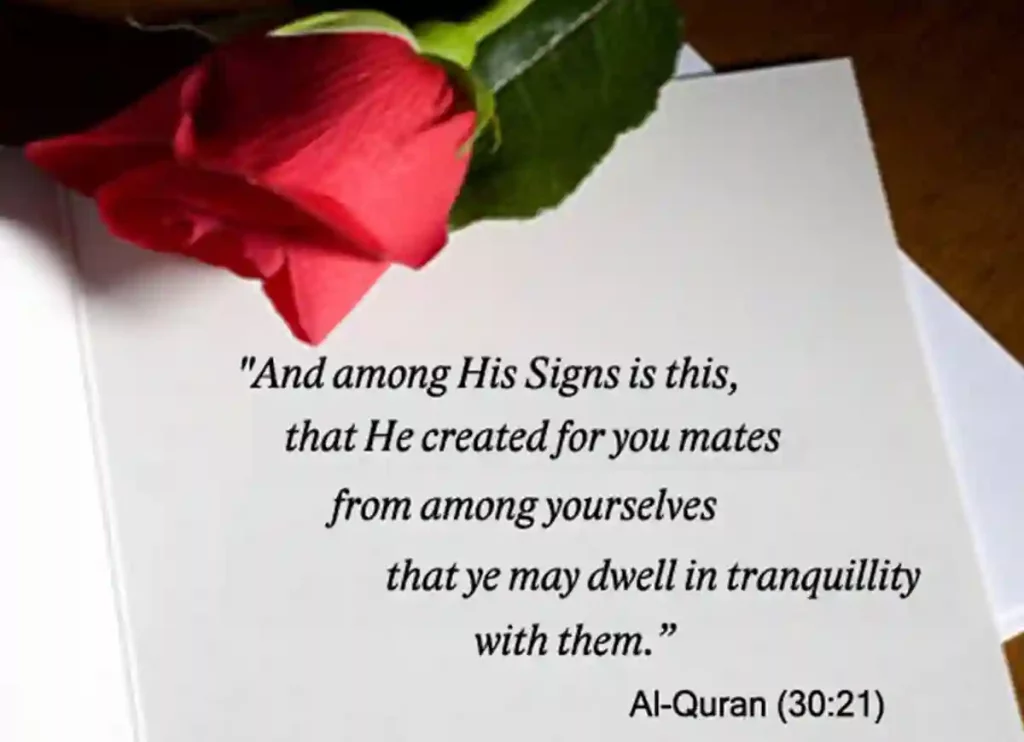 signs my wife is not sexually attracted to me, signs my wife is not attracted to me,signs your wife is not attracted to you, signs my wife is not sexually attracted to me, signs your wife isn't sexually attracted to you, wife is not attracted to me