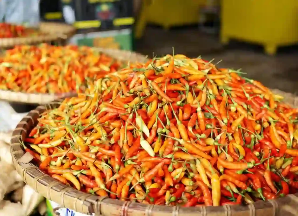 Where To Buy Thai Chili Peppers? Quran Mualim