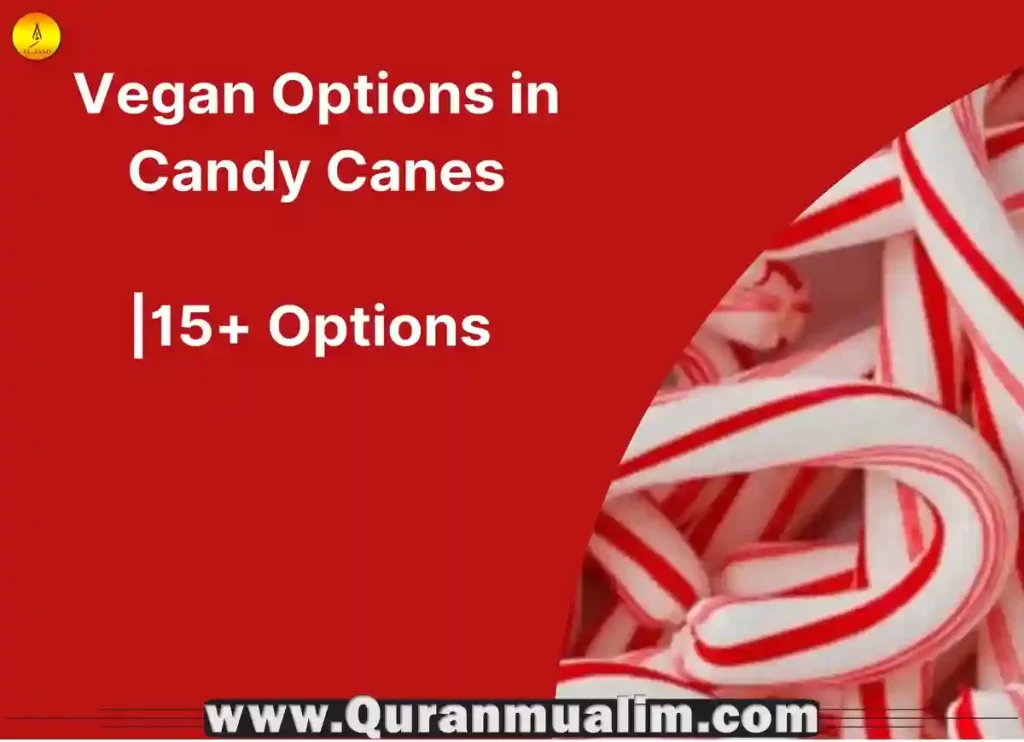 are candy canes halal, are christmas candy canes halal, are candy canes vegan, pool noodle candy cane, are airheads halal ,skittle candy canes, jolly ranchers candy canes, are nerds halal