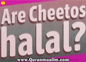 are cheetos haram, are hot cheetos haram, are flamin hot cheetos haram, cheetos are halal or haram, are all cheetos haram