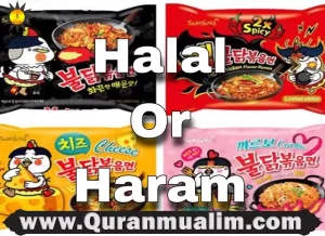 are cup noodles halal, are nissin cup noodles halal,maruchan cup of noodles,maruchan cup, konjac noodles heb, is maruchan ramen halal, cup of noodles maruchan,is maruchan halal, halal cup noodles,is chicken cup noodles halal