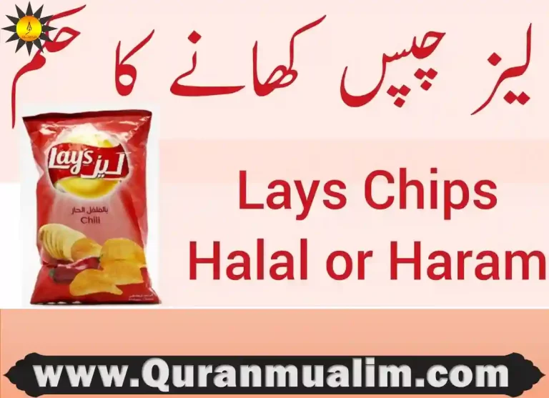 are lays chips halal, which lays chips are halal, lays custom chip box,is takis halal,are doritos haram, custom lays chips variety pack ,are ruffles halal, is lays halal, are lays halal,lays chips india,what chips are halal