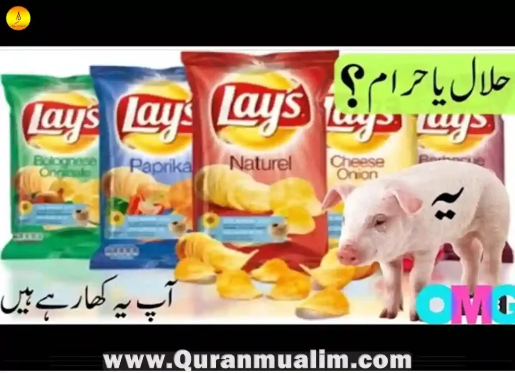 are lays chips halal, which lays chips are halal, lays custom chip box,is takis halal,are doritos haram, custom lays chips variety pack ,are ruffles halal, is lays halal, are lays halal,lays chips india,what chips are halal