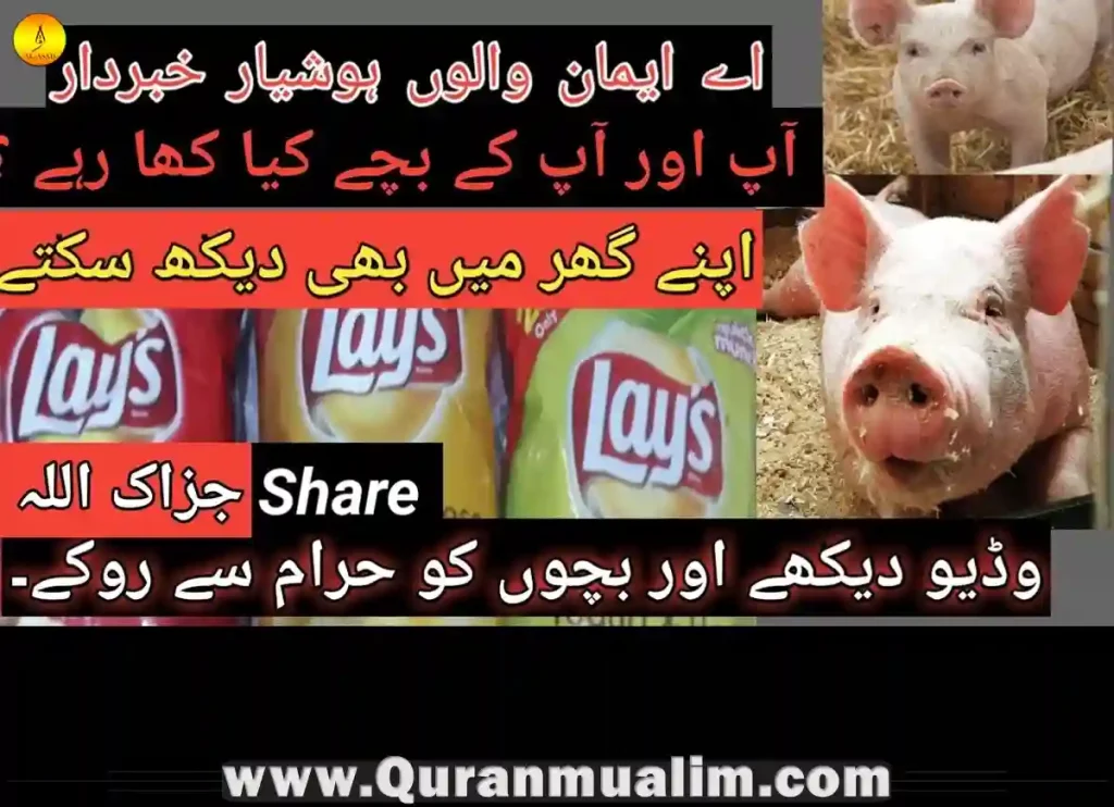 are lays halal, are lays chips halal, lays are halal, halal chips, lays india,ingredients in lays, are ruffles halal, is lays halal ,is takis haram, what chips are halal, is lays barbecue chips halal