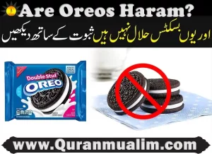 are oreos haram,are oreos haram in us, are oreos dairy free,do oreos have dairy, are oreos halal, vegan oreos,is oreo vegan ,are oreos kosher,are oreo cookies vegan, how are oreos made,do oreos have gelatin