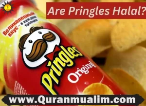 are pringles halal, are all pringles halal, are pringles vegan, pringles halal,is mono and diglycerides halal, types of pringles ,is pringles halal, are original pringles vegan, pringles passport flavors, different types of pringles