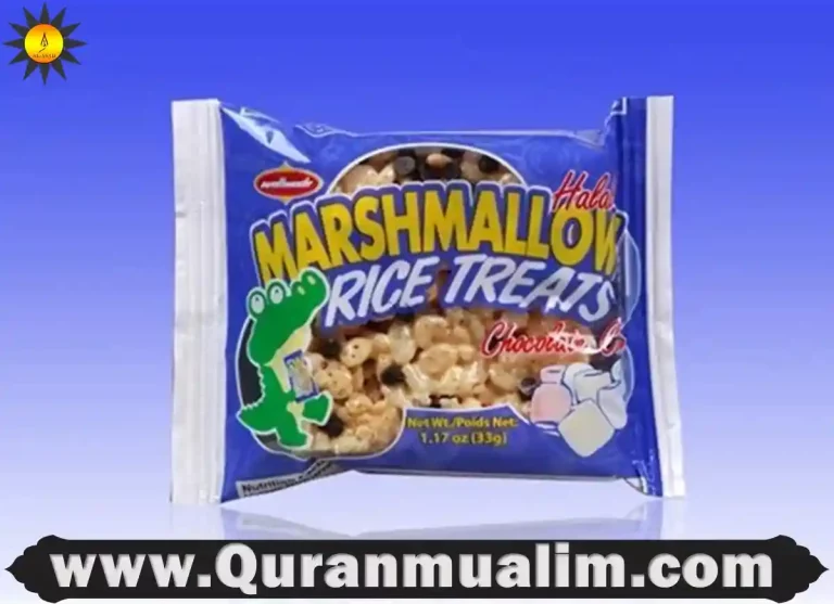 are rice krispies treats halal,are rice krispie treats halal,are rice krispy treats halal,does rice krispies have pork,halal rice crispy treats ,do rice krispies have gelatin,what kind of gelatin is in rice krispies treats,is rice krispies halal