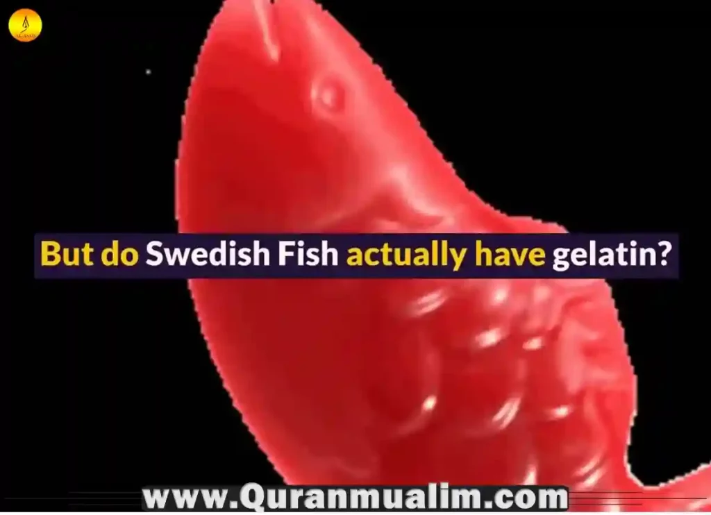 are-swedish-fish-halal-or-haram-quran-mualim