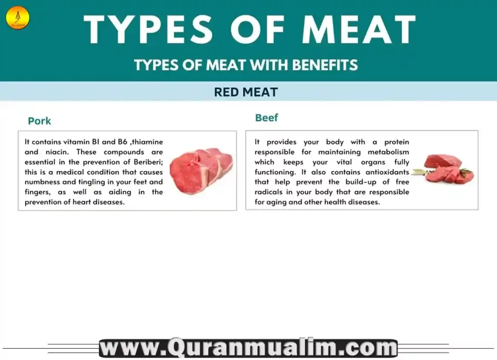 Can You Eat Elephant Meat? What You Need To Know - Quran Mualim