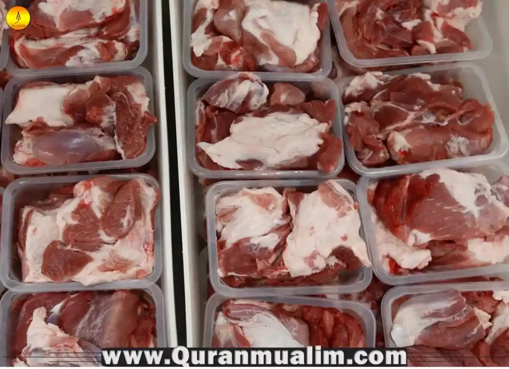 Can You Eat Elephant Meat? What You Need To Know - Quran Mualim