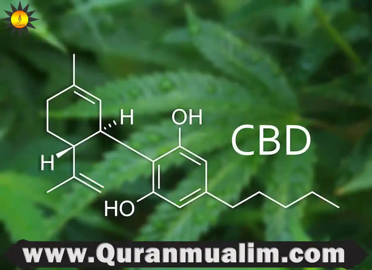 is-cbd-halal-quick-guide-2023-quran-mualim