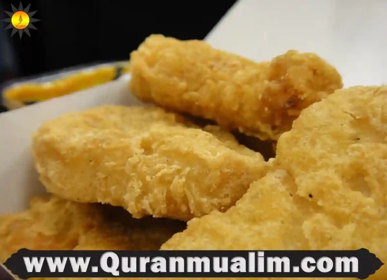 halal chicken nuggets, delta valley halal chicken nuggets,halal chicken nuggets near me,halal chicken nuggets costco, halal chicken nuggets restaurant depot, are mcdonald's chicken nuggets halal, restaurant depot halal chicken nuggets ,are chicken nuggets from mcdonald's halal