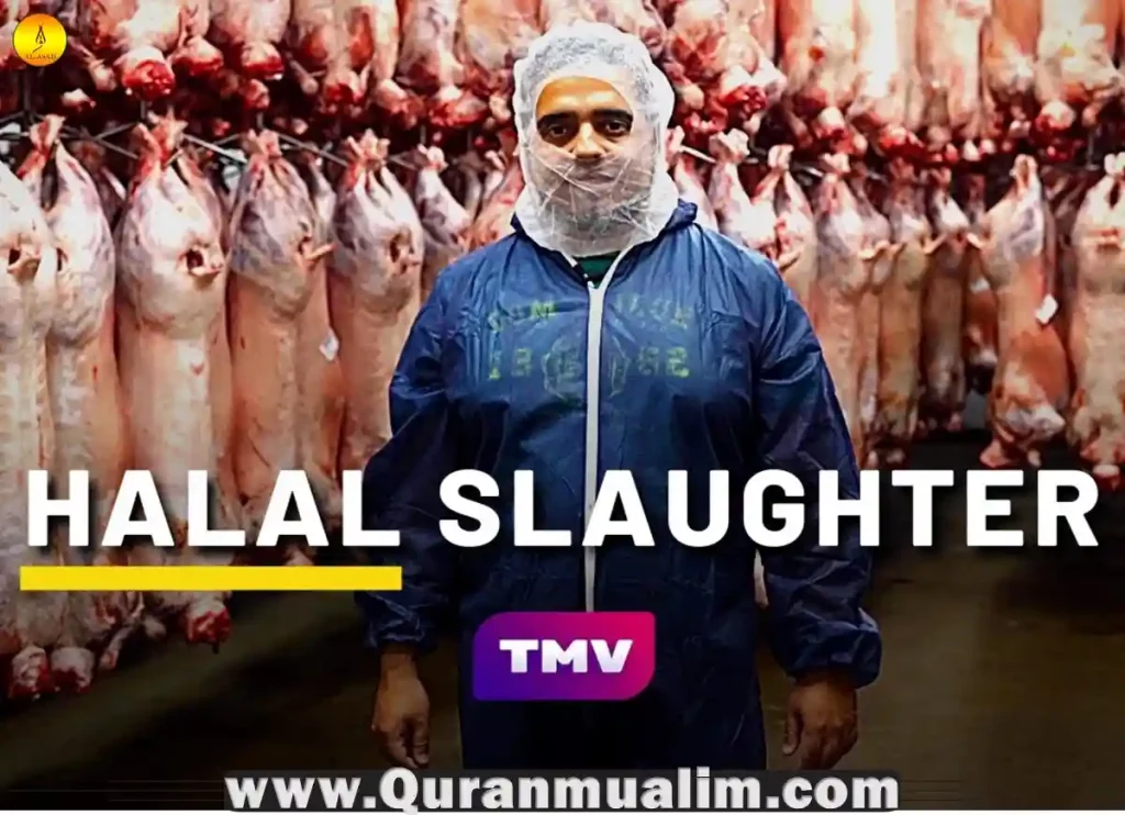 how is halal meat prepared, halal meat how is it prepared, how halal meat is prepared, what is halal meat and how is it prepared, halal food near me, halal food near me, halal meat near me, halal meaning, halal food meaning