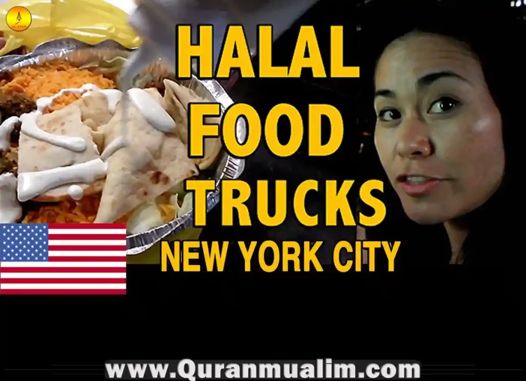 indian tasty halal food, indian halal tasty foods auckland, tasty halal food truck,halal tasty foods,tasty halal food,halal food near me, naz's halal food,what does halal food mean,what food is halal