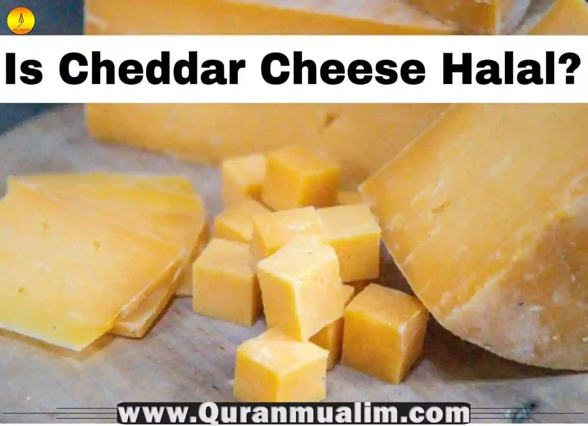 is-cheddar-cheese-halal-facts-2023-quran-mualim