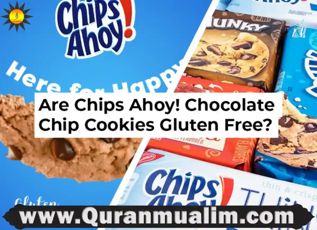 is chips ahoy halal, is chips ahoy halal, are chips ahoy vegan, are chips ahoy vegan, does chips ahoy have eggs, does chips ahoy have eggs ,do chips ahoy have eggs, are chips ahoy gluten free