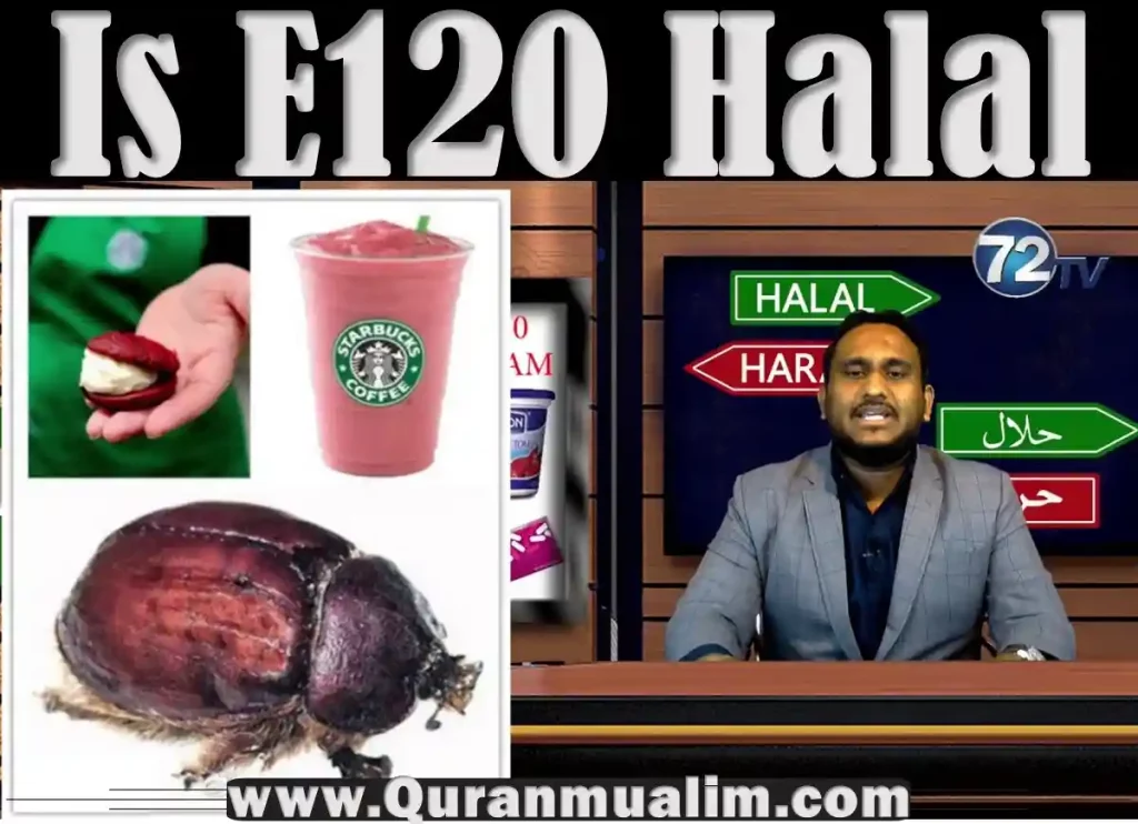 e120 halal, carmine e120 halal,e120 halal or haram, is e120 halal, carmine e120 halal or haram,e120 food list,e120 food additive ,ingredient e120,what is e120 in food, what is e120 in food,e120 halal