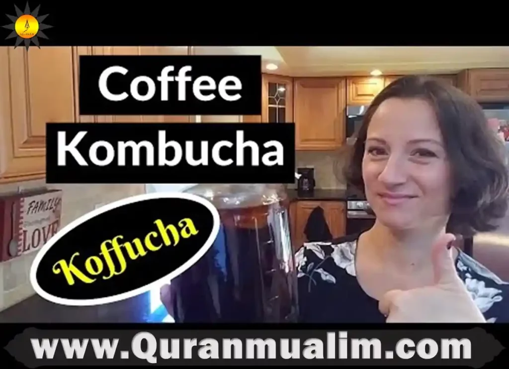 is kombucha halal,is kombucha halal sunni, is synergy kombucha halal,is health ade kombucha halal, is kombucha drink halal ,is kombucha halal, sugar alcohol halal,food haram, halal haram,is sugar alcohol halal, foods that muslim cannot eat