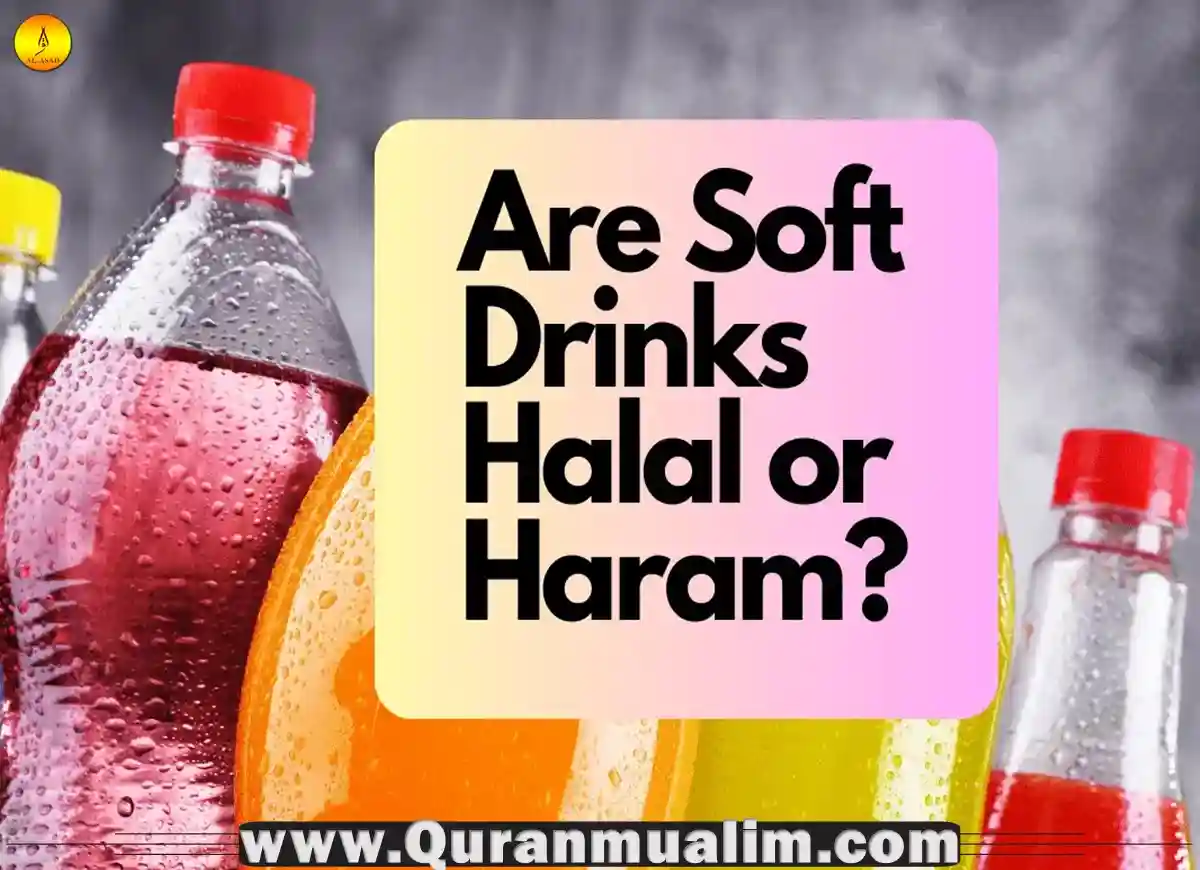 is-pepsi-halal-quick-facts-quran-mualim