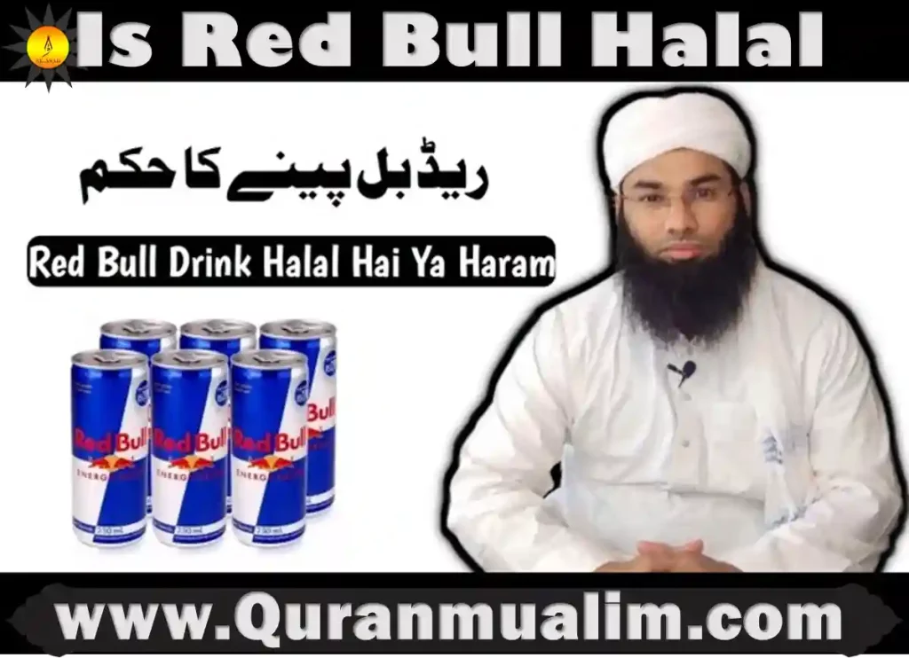 is red bull halal, red bull is halal, red bull energy drink is halal or haram, is red bull drink halal ,is red bull energy drink halal, is red bull haram in islam, which energy drinks are halal, bear halal or haram, what is red bull made of ingredients