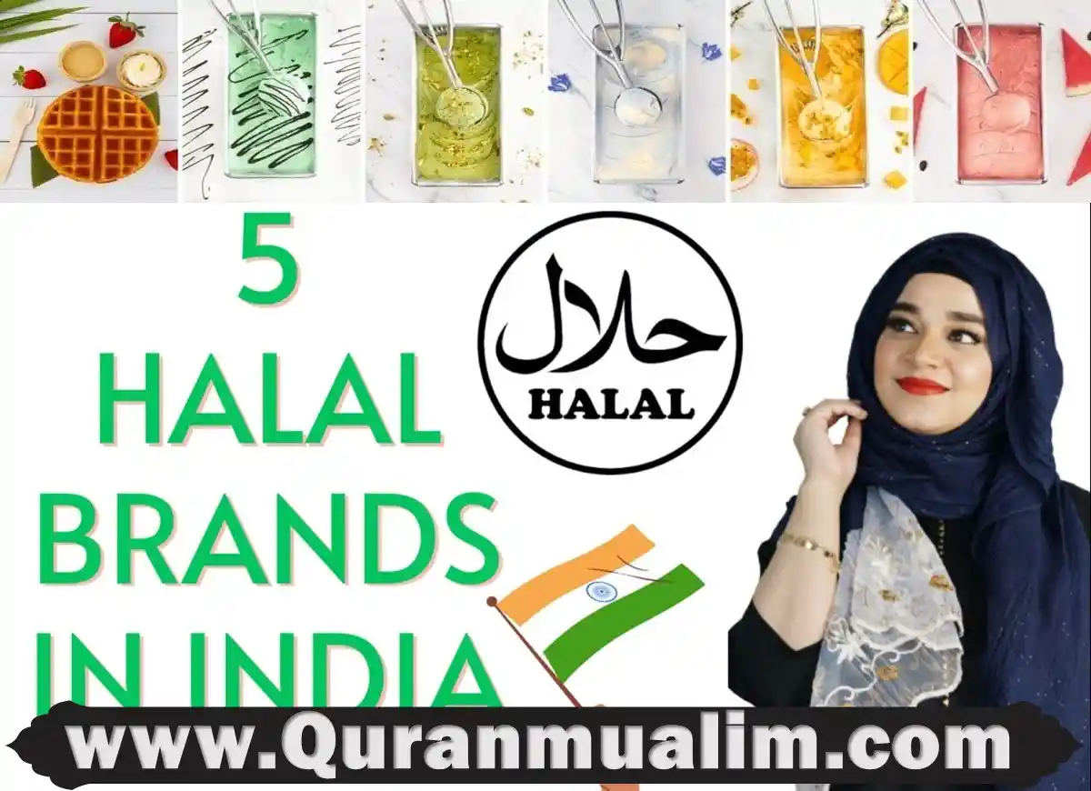 List Of Halal Ice Cream Brands In USA 1.webp