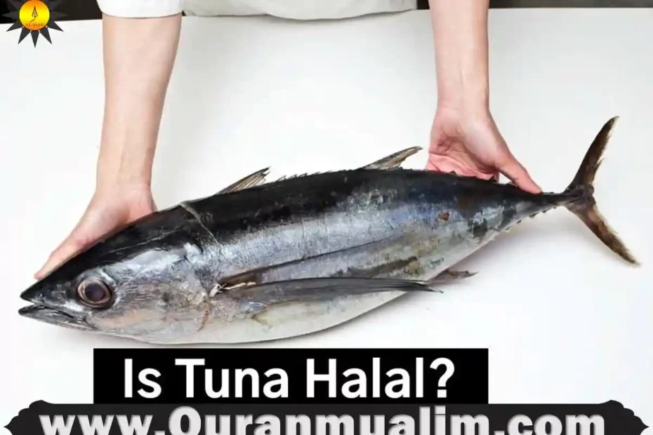 is-tuna-is-halal-or-haram-in-islam-quran-mualim