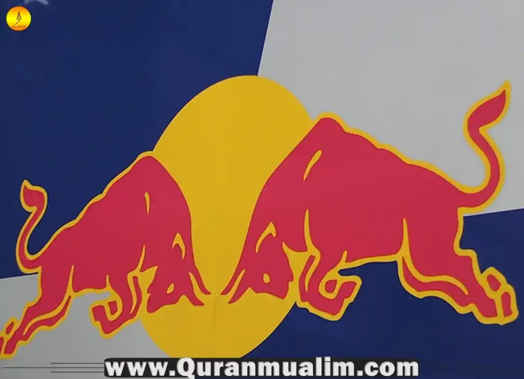 is red bull halal, red bull is halal, red bull energy drink is halal or haram, is red bull drink halal, is red bull energy drink halal, is red bull halal in usa