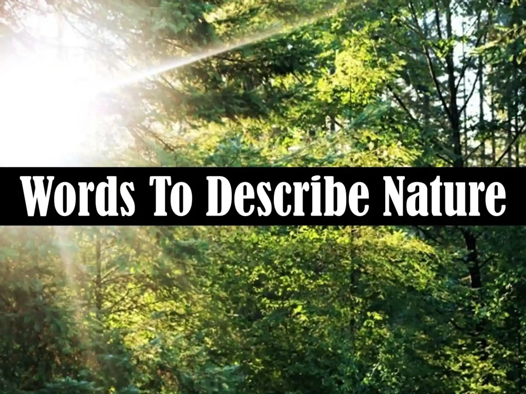 Words To Describe Nature – English Vocabulary - Quran Mualim